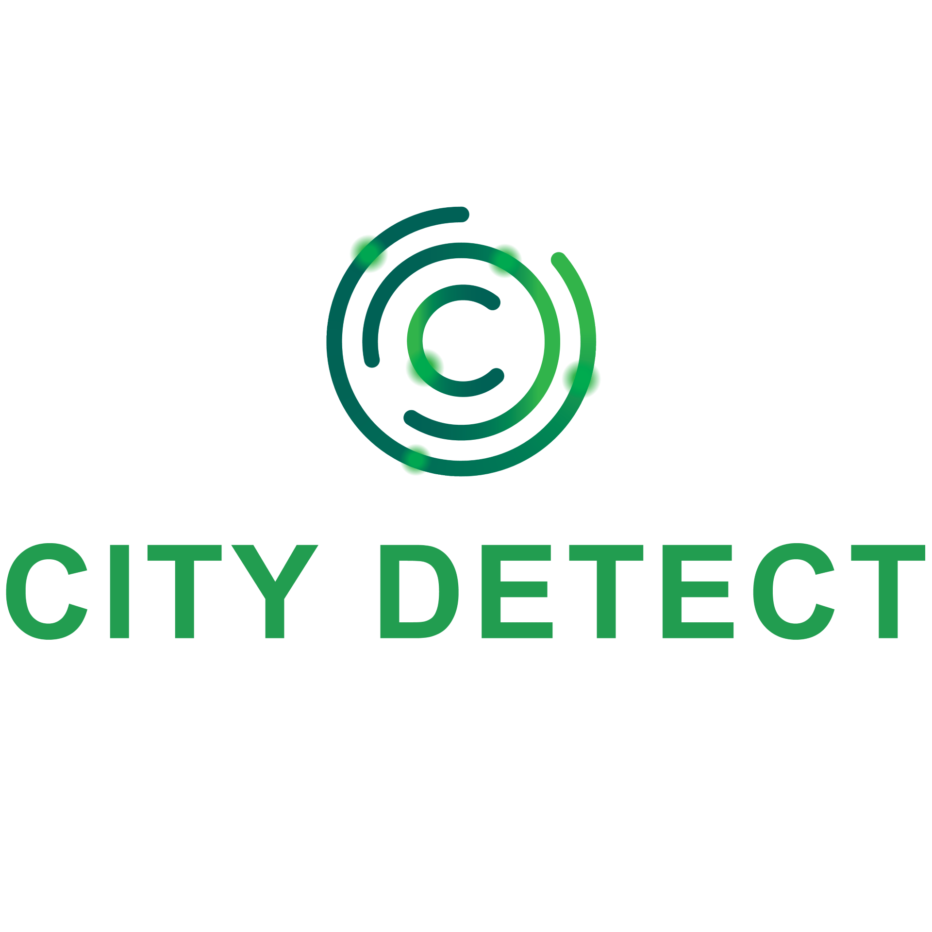 City Detect Logo